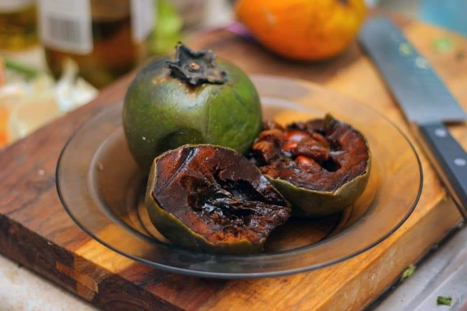 Black Sapote Fruit Plant