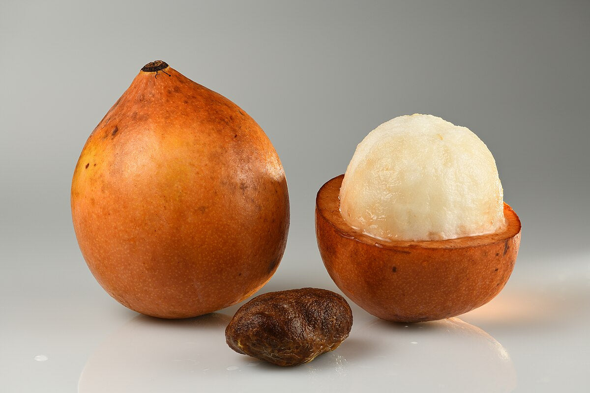 Achachairu Live Fruit Plant