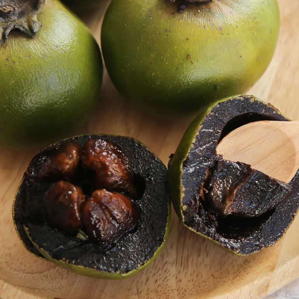 Black Sapote Fruit Plant