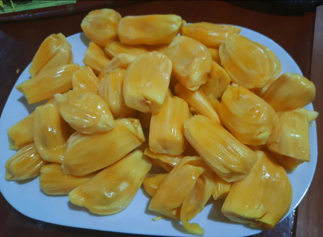 Eviarc The Sweetest Jackfruit Fruit Plant