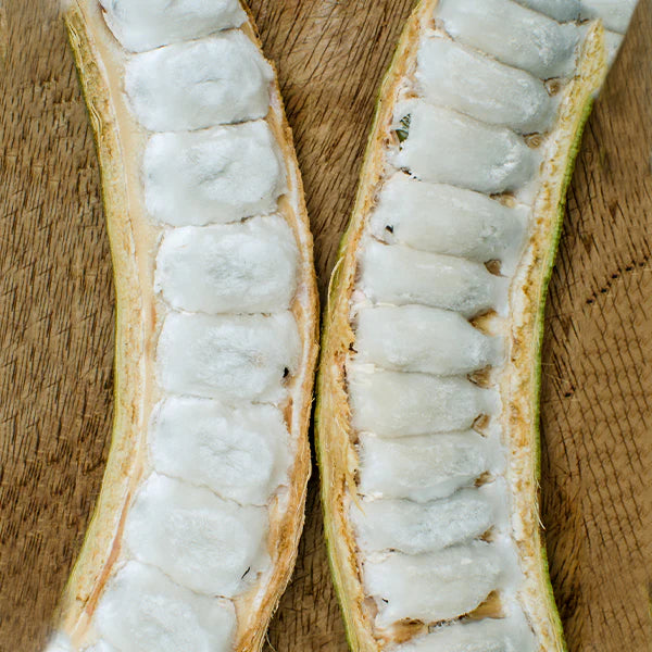Guama Ice Cream Bean Fruit Plant