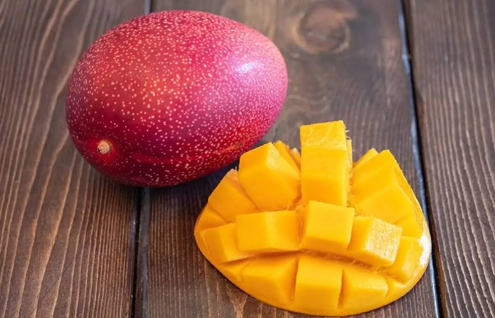 Miyazaki Mango Live Fruit Plant