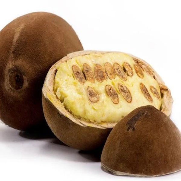 Cupassu Fruit Plant