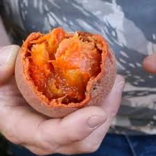Gogo Fruit Plant