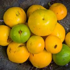 Araza Boi Fruit Plant