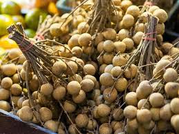 Longan Fruit Plant