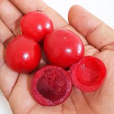 Ubaia Fruit Plant