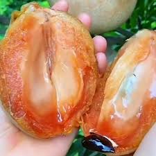 Thai King Sapota Fruit Plant