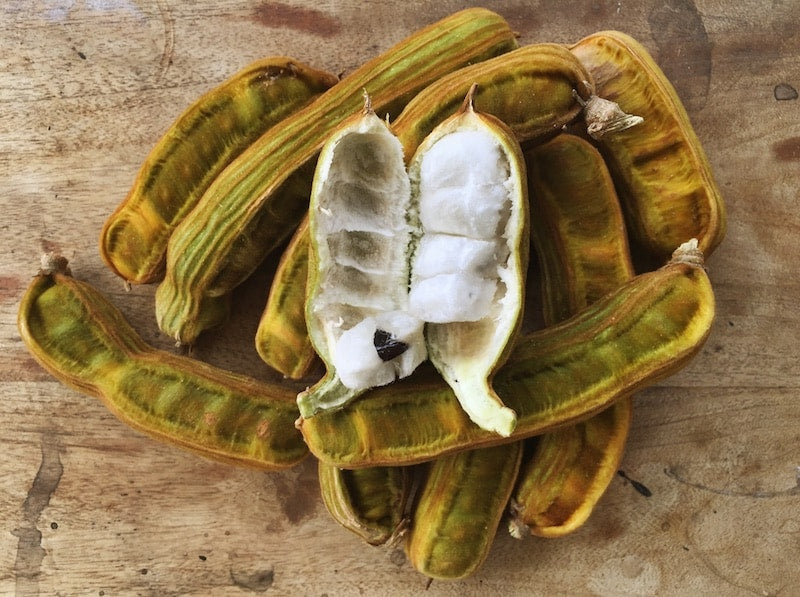 Guama Ice Cream Bean Fruit Plant