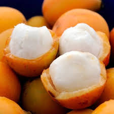 Achachairu Live Fruit Plant