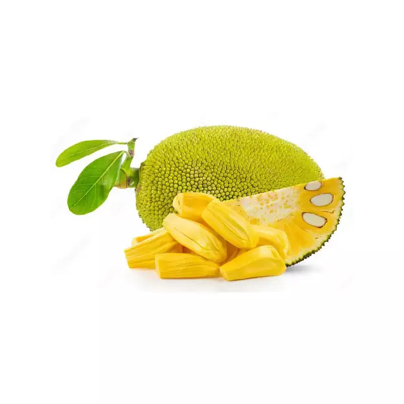 Vietnam Super Early Jackfruit Plant
