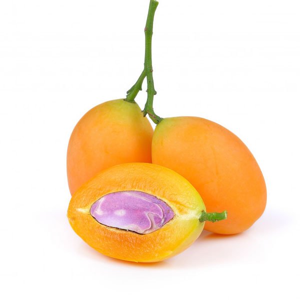 Maparang Fruit Plant