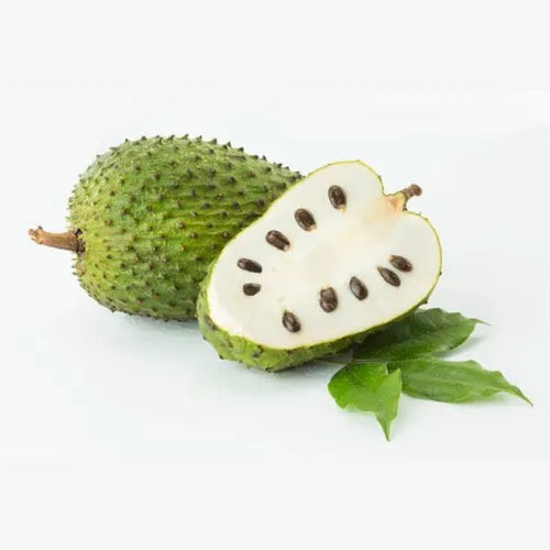 Sour Sop Fruit Plant