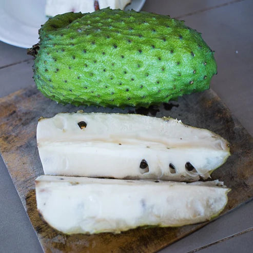 Sour Sop Fruit Plant