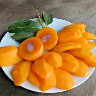 Maparang Fruit Plant